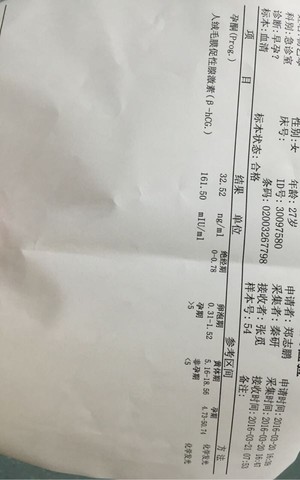 journal_insert_pic_434293127