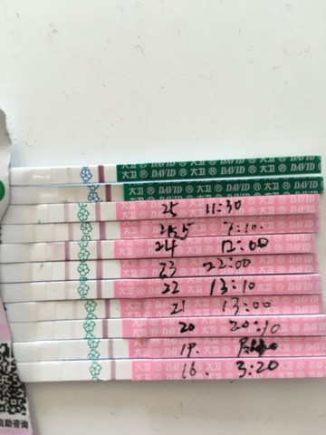 journal_insert_pic_435419910