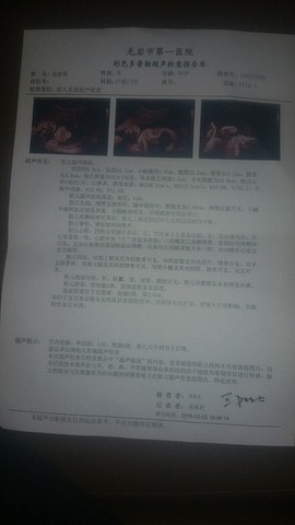 journal_insert_pic_435739188