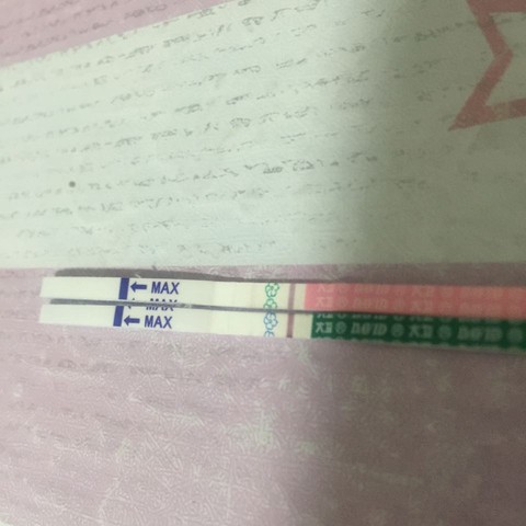 journal_insert_pic_435110165