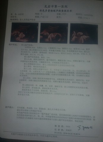 journal_insert_pic_435739115
