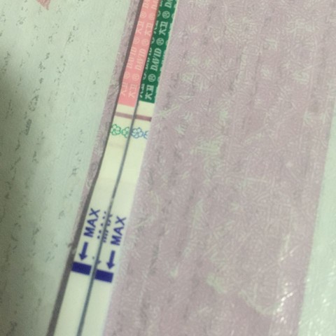 journal_insert_pic_435110180