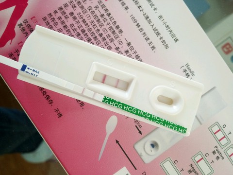 journal_insert_pic_437824557