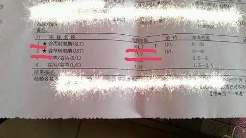 journal_insert_pic_437846165