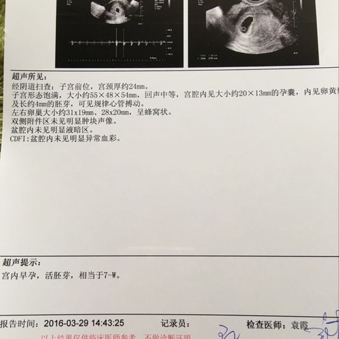 journal_insert_pic_439004434