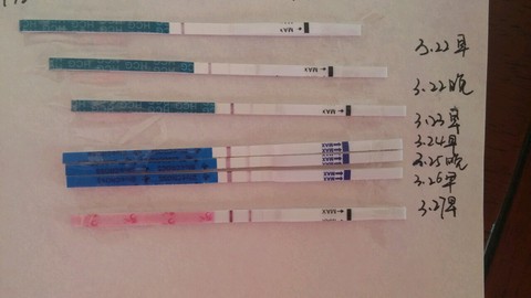 journal_insert_pic_440187647