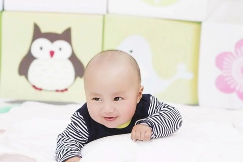 journal_insert_pic_440715453