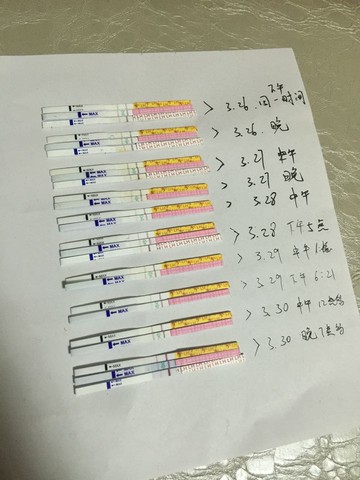 journal_insert_pic_440675424