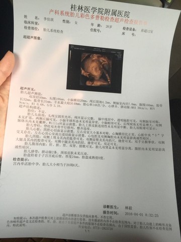 journal_insert_pic_441529035