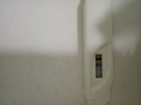 journal_insert_pic_441565855