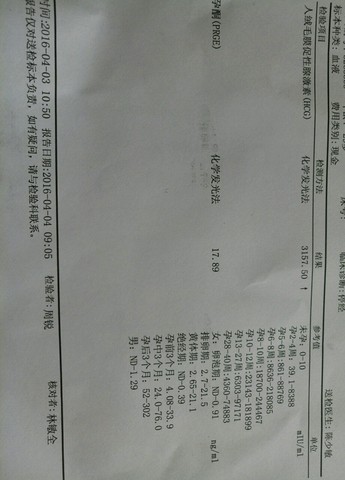 journal_insert_pic_444091238