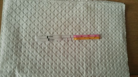 journal_insert_pic_444186688
