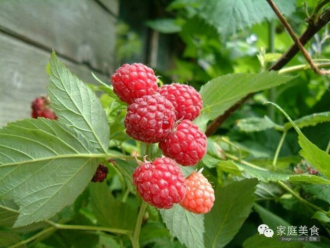 journal_insert_pic_444306467