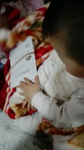 journal_insert_pic_443772581