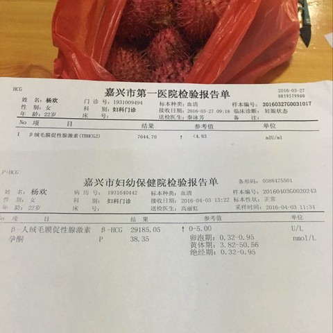 journal_insert_pic_443861214