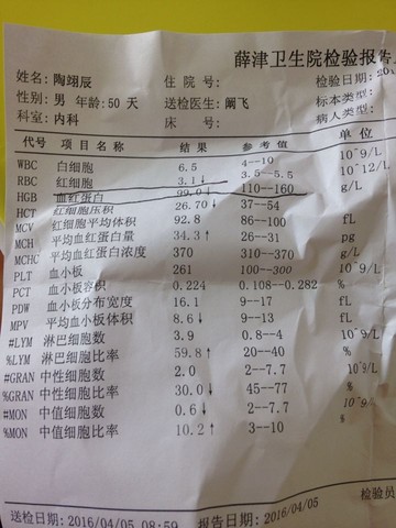 journal_insert_pic_444741600