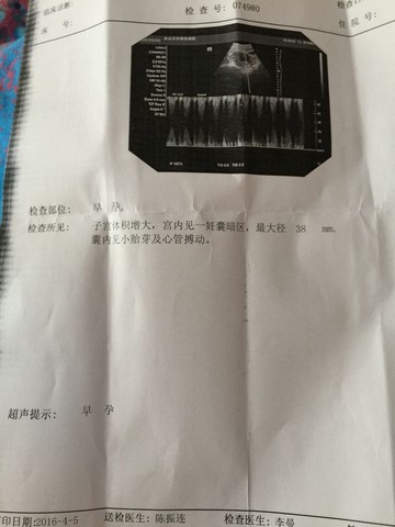 journal_insert_pic_444717422