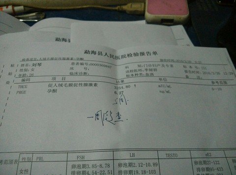 journal_insert_pic_445748649