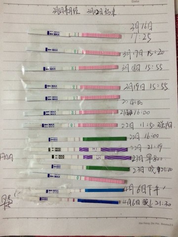 journal_insert_pic_446020304