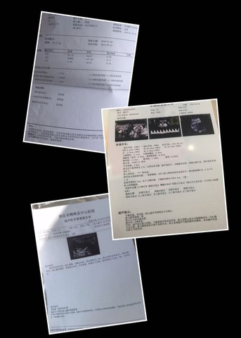 journal_insert_pic_446023445