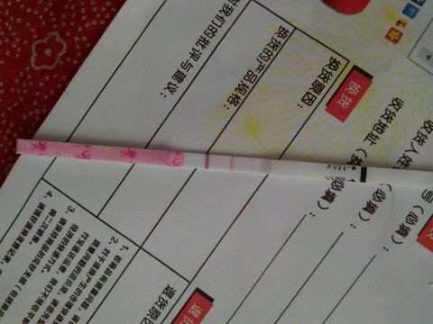 journal_insert_pic_445498514