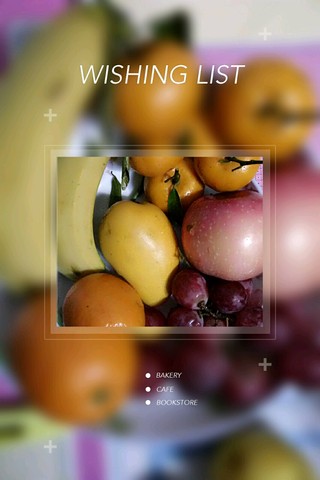 journal_insert_pic_446767710
