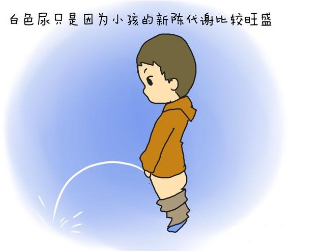 白色尿