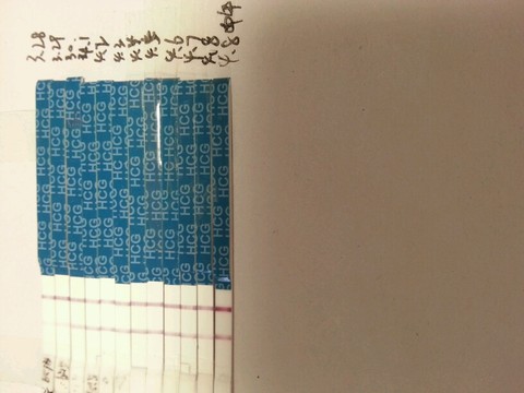 journal_insert_pic_447414924
