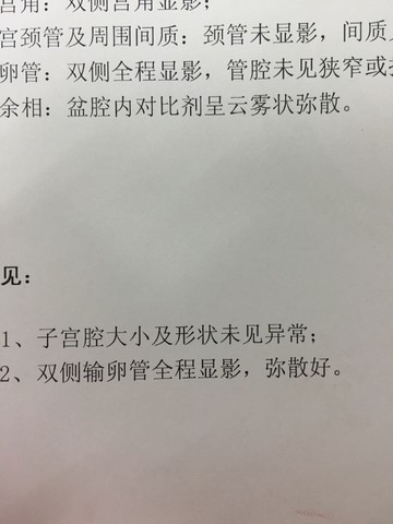 journal_insert_pic_447461459