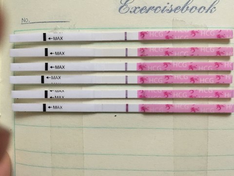 journal_insert_pic_449633908