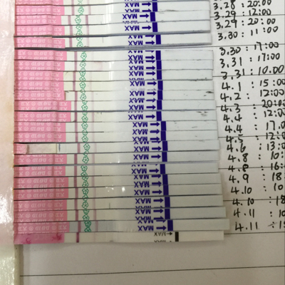journal_insert_pic_450039697