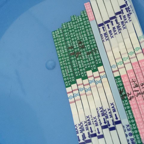 journal_insert_pic_449673609