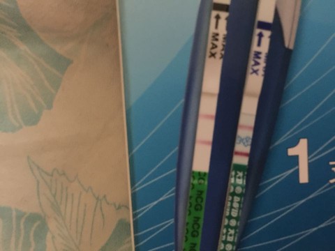 journal_insert_pic_450995659