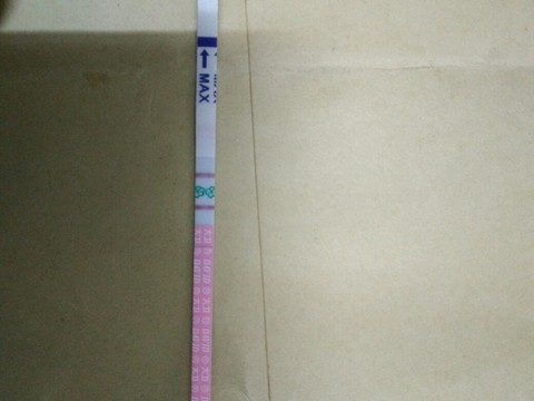 journal_insert_pic_451222336