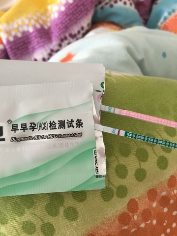 journal_insert_pic_450689444