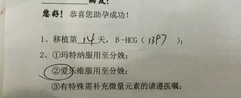 journal_insert_pic_451390611