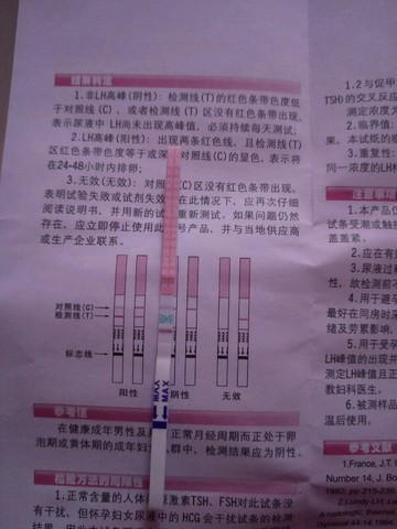 journal_insert_pic_452830492