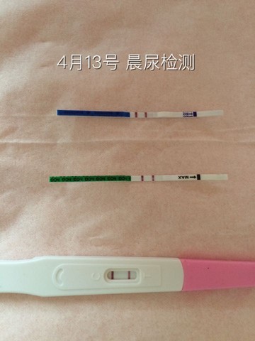 journal_insert_pic_452275411