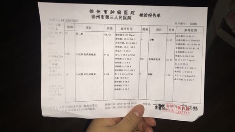 journal_insert_pic_454096361