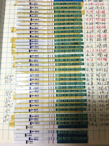 journal_insert_pic_454714048
