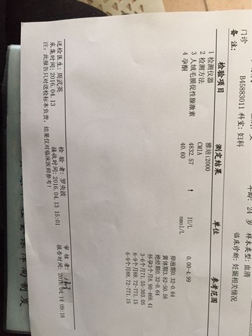 journal_insert_pic_455007141