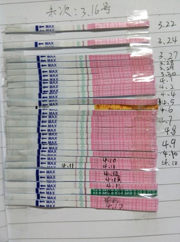 journal_insert_pic_455490533