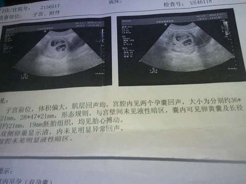 journal_insert_pic_455235803