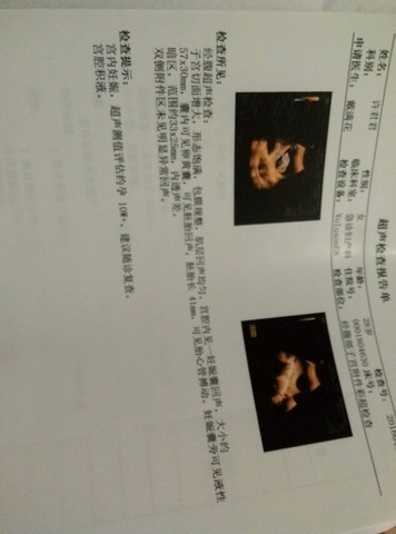 journal_insert_pic_455831343