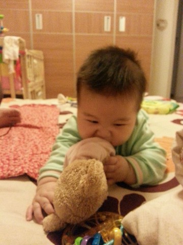 journal_insert_pic_456669563