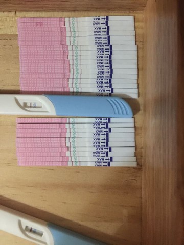 journal_insert_pic_456954618