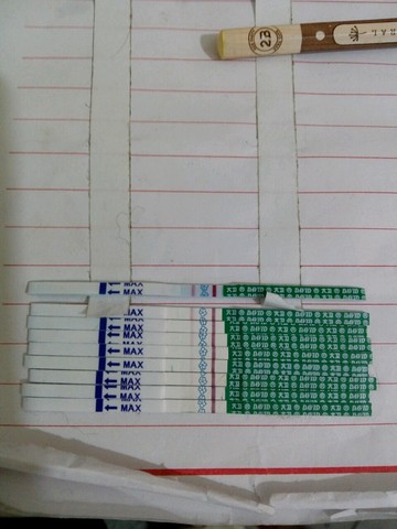 journal_insert_pic_459446383
