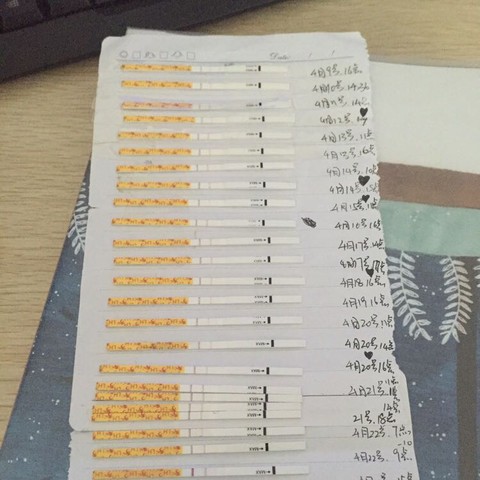 journal_insert_pic_459208286