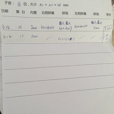 journal_insert_pic_459208196