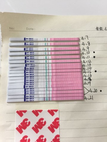 journal_insert_pic_458996921
